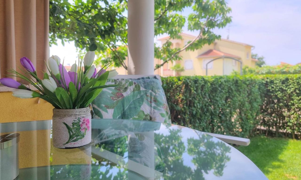 Apartament Roko Novigrad  Zewnętrze zdjęcie