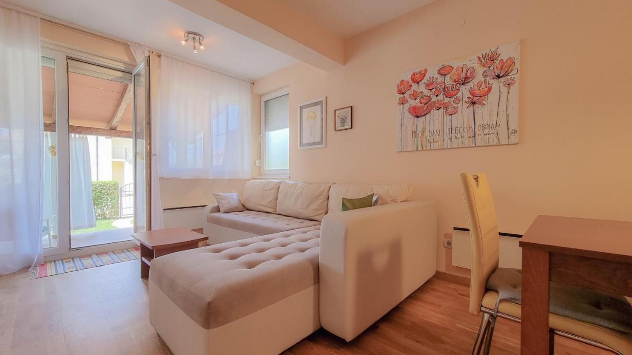 Apartament Roko Novigrad  Zewnętrze zdjęcie