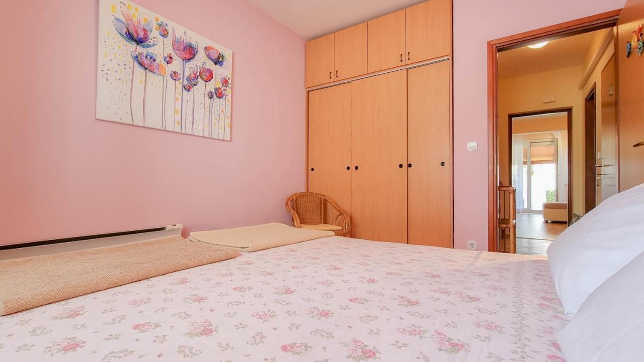 Apartament Roko Novigrad  Zewnętrze zdjęcie